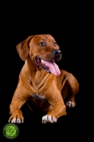 20160910-diego 4